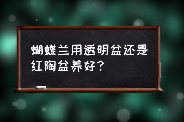 蝴蝶兰用什么形状花盆好 蝴蝶兰用透明盆还是红陶盆养好？