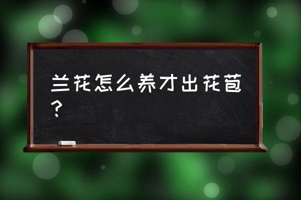怎样才能让兰花发花芽 兰花怎么养才出花苞? 怎样才能让兰花发花芽 兰花怎么养才出花苞?