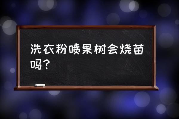 洗衣粉杀虫剂会不会伤根 洗衣粉喷果树会烧苗吗? 洗衣粉杀虫剂会不会伤根 洗衣粉喷果树会烧苗吗?
