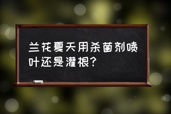 夏天兰花多久用一次多菌灵 兰花夏天用杀菌剂喷叶还是灌根? 夏天兰花多久用一次多菌灵 兰花夏天用杀菌剂喷叶还是灌根?