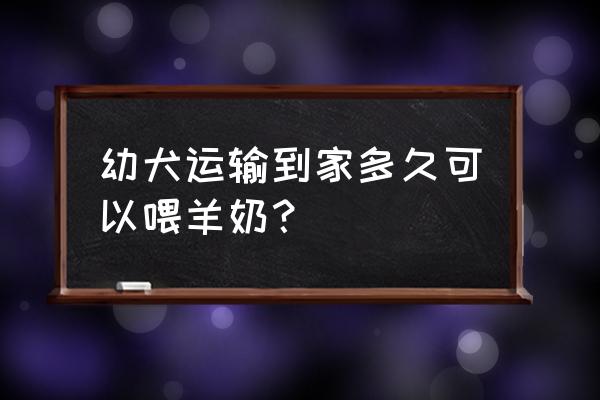 幼犬多久断羊奶粉 幼犬运输到家多久可以喂羊奶? 幼犬多久断羊奶粉 幼犬运输到家多久可以喂羊奶?
