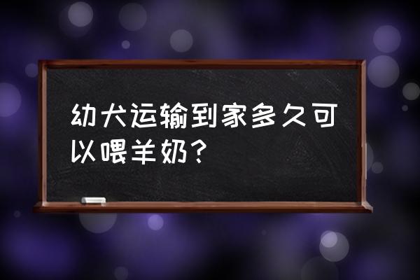 幼犬多久断羊奶粉 幼犬运输到家多久可以喂羊奶？