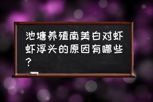 虾饲料浮是什么原因 池塘养殖南美白对虾虾浮头的原因有哪些？