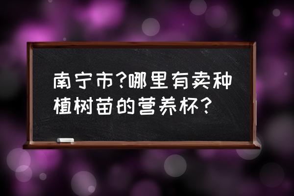 苗木营养杯多少钱 南宁市?哪里有卖种植树苗的营养杯？