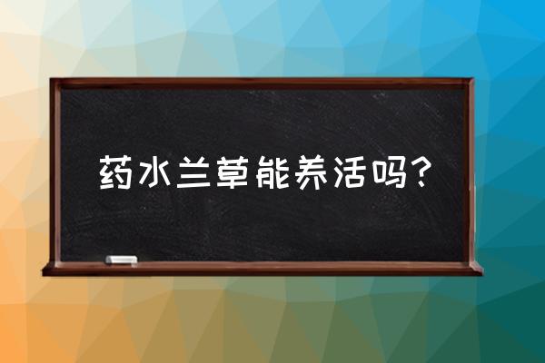 兰花水养能活吗 药水兰草能养活吗? 兰花水养能活吗 药水兰草能养活吗?