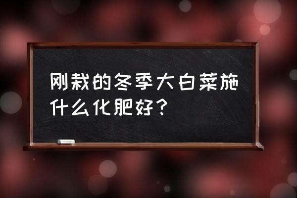 种白菜可以用玉米复合肥吗 刚栽的冬季大白菜施什么化肥好? 种白菜可以用玉米复合肥吗 刚栽的冬季大白菜施什么化肥好?