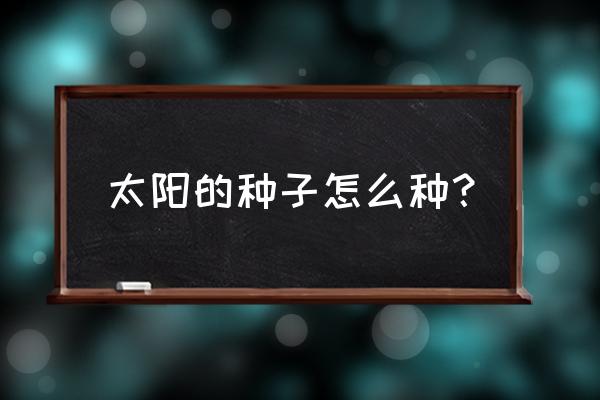 太阳花草籽今年卖多少钱斤 太阳的种子怎么种? 太阳花草籽今年卖多少钱斤 太阳的种子怎么种?