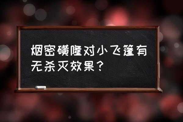 在哪儿买小蓬飞必加除草剂 烟密磺隆对小飞篷有无杀灭效果? 在哪儿买小蓬飞必加除草剂 烟密磺隆对小飞篷有无杀灭效果?