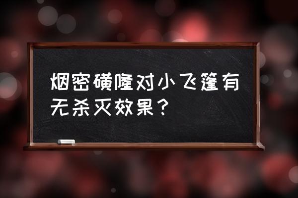 在哪儿买小蓬飞必加除草剂 烟密磺隆对小飞篷有无杀灭效果？