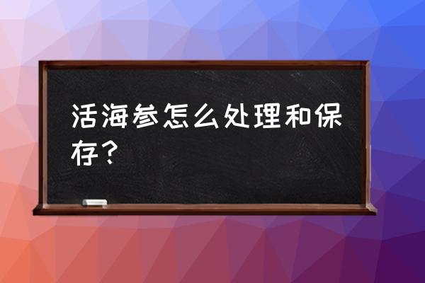 野生鲜海参怎么保存方法 活海参怎么处理和保存? 野生鲜海参怎么保存方法 活海参怎么处理和保存?