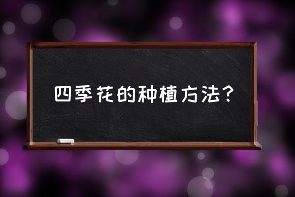园林中四季花卉怎么种植 四季花的种植方法? 园林中四季花卉怎么种植 四季花的种植方法?