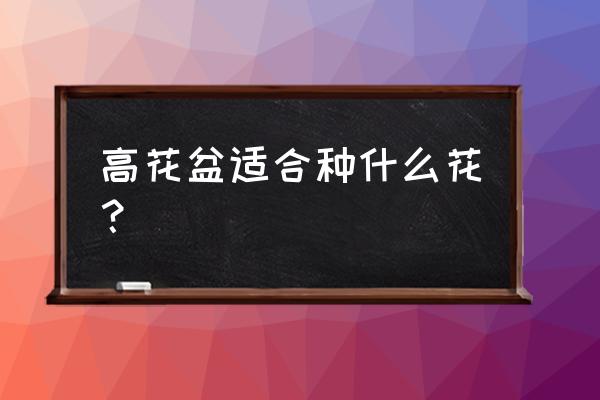 高花盆可以养虎皮兰吗 高花盆适合种什么花? 高花盆可以养虎皮兰吗 高花盆适合种什么花?