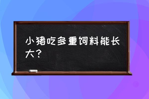 猪一天吃三斤饲料能长多少肉 小猪吃多重饲料能长大? 猪一天吃三斤饲料能长多少肉 小猪吃多重饲料能长大?