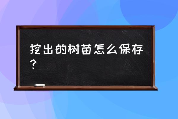 枸杞树苗挖了能放几天 挖出的树苗怎么保存? 枸杞树苗挖了能放几天 挖出的树苗怎么保存?