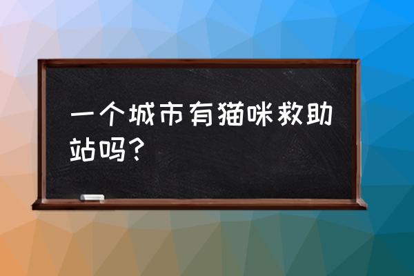 宜宾有动物救助中心吗 一个城市有猫咪救助站吗? 宜宾有动物救助中心吗 一个城市有猫咪救助站吗?