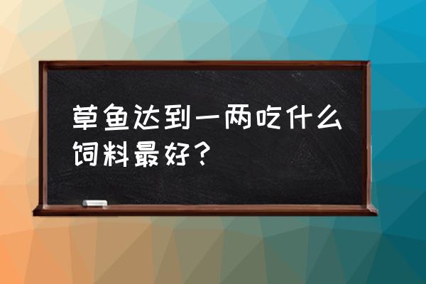 草鱼喂哪些饲料 草鱼达到一两吃什么饲料最好? 草鱼喂哪些饲料 草鱼达到一两吃什么饲料最好?
