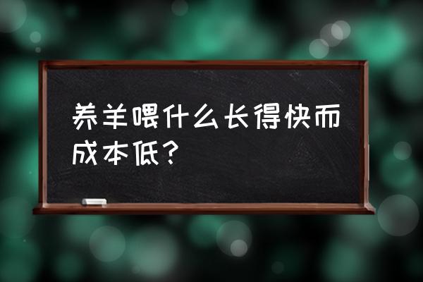 养羊吃什么饲料长得快啊 养羊喂什么长得快而成本低? 养羊吃什么饲料长得快啊 养羊喂什么长得快而成本低?