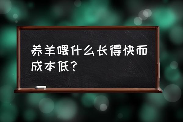 养羊吃什么饲料长得快啊 养羊喂什么长得快而成本低？