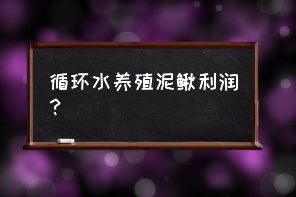 一亩泥鳅养殖多少钱 循环水养殖泥鳅利润？