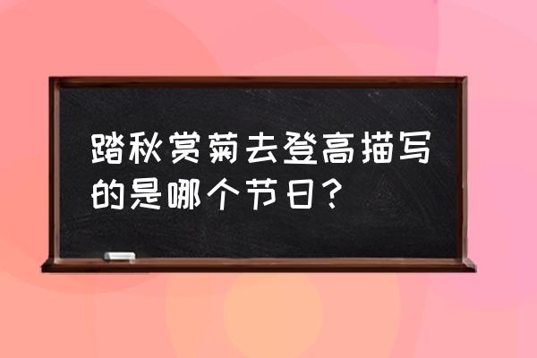 观赏菊花什么节日 踏秋赏菊去登高描写的是哪个节日? 观赏菊花什么节日 踏秋赏菊去登高描写的是哪个节日?