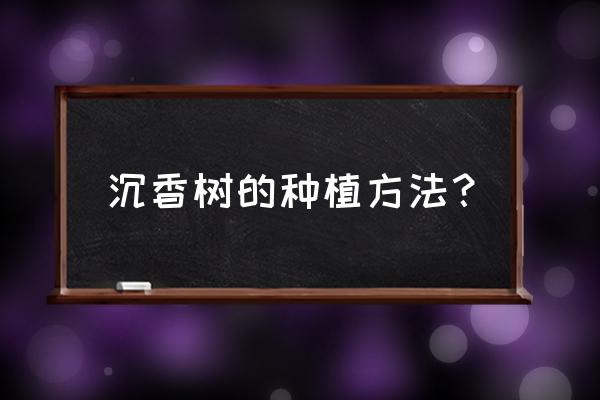 沉香树苗怎样种植 沉香树的种植方法? 沉香树苗怎样种植 沉香树的种植方法?
