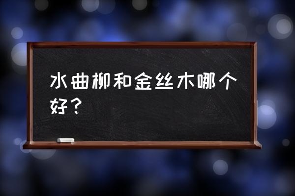 水曲柳树是稀有木材吗 水曲柳和金丝木哪个好? 水曲柳树是稀有木材吗 水曲柳和金丝木哪个好?