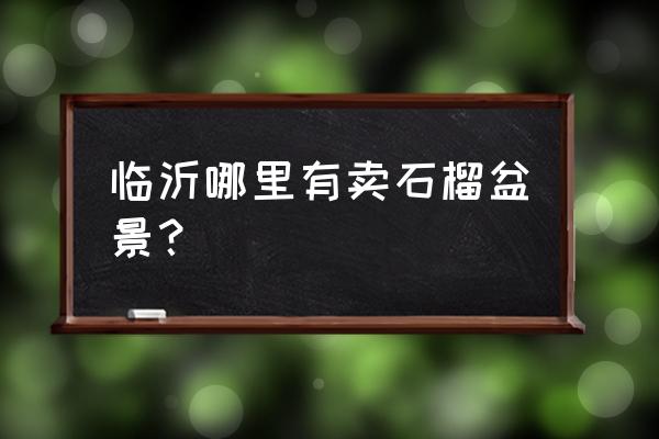 哪里有石榴古桩盆景 临沂哪里有卖石榴盆景? 哪里有石榴古桩盆景 临沂哪里有卖石榴盆景?