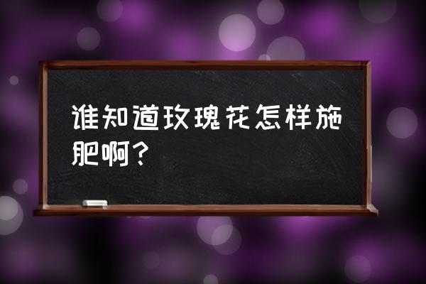 食用玫瑰花怎样施肥 谁知道玫瑰花怎样施肥啊? 食用玫瑰花怎样施肥 谁知道玫瑰花怎样施肥啊?
