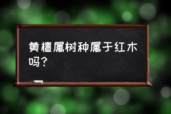 黄檀属于哪类木材 黄檀属树种属于红木吗? 黄檀属于哪类木材 黄檀属树种属于红木吗?