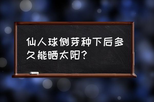 仙人球栽上后多久可以晒太阳 仙人球侧芽种下后多久能晒太阳? 仙人球栽上后多久可以晒太阳 仙人球侧芽种下后多久能晒太阳?