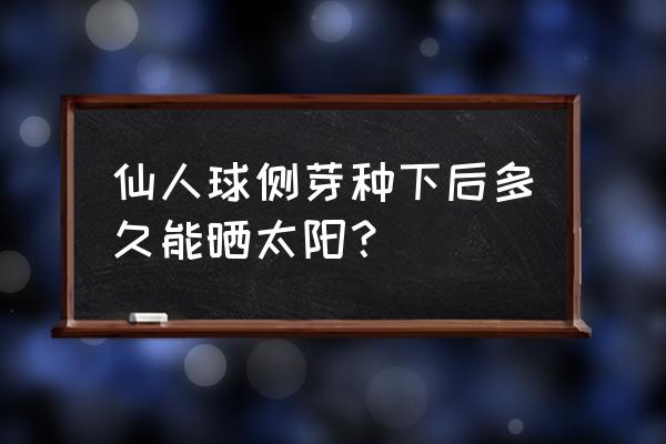 仙人球栽上后多久可以晒太阳 仙人球侧芽种下后多久能晒太阳？