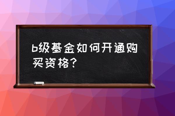 要买b级基金需要开通啥 b级基金如何开通购买资格? 要买b级基金需要开通啥 b级基金如何开通购买资格?