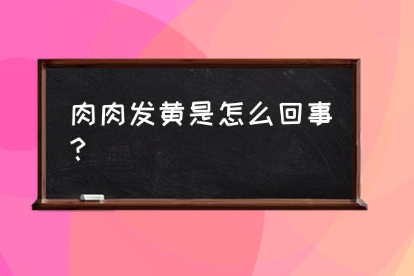 多肉植物变黄是什么原因 肉肉发黄是怎么回事？