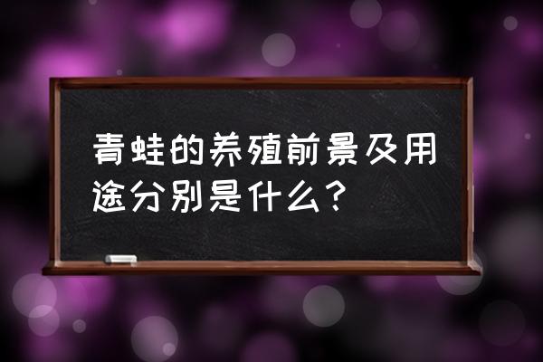 青蛙养殖出来做什么 青蛙的养殖前景及用途分别是什么? 青蛙养殖出来做什么 青蛙的养殖前景及用途分别是什么?
