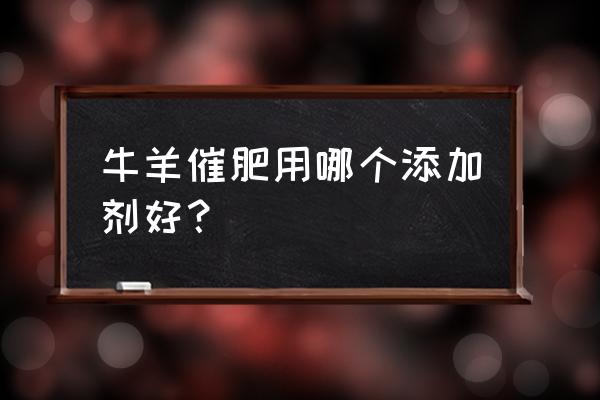 反刍动物饲料添加剂有哪些 牛羊催肥用哪个添加剂好？