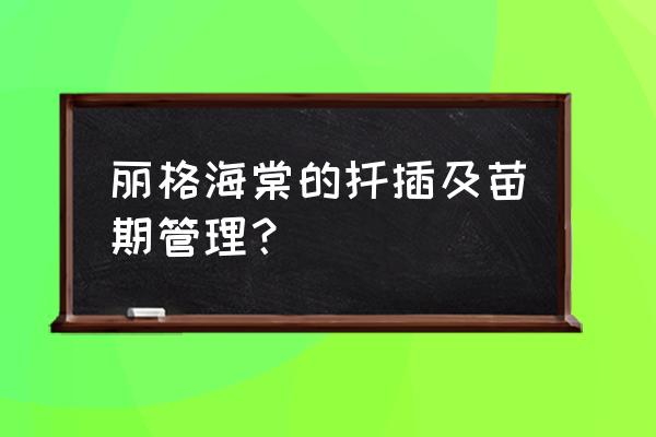 丽格海棠什么时候发芽 丽格海棠的扦插及苗期管理？