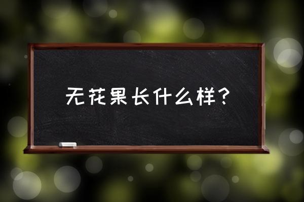无花果树长啥样 无花果长什么样? 无花果树长啥样 无花果长什么样?