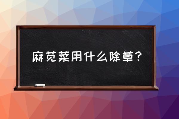 大棚种现菜有除草剂吗 麻苋菜用什么除草? 大棚种现菜有除草剂吗 麻苋菜用什么除草?