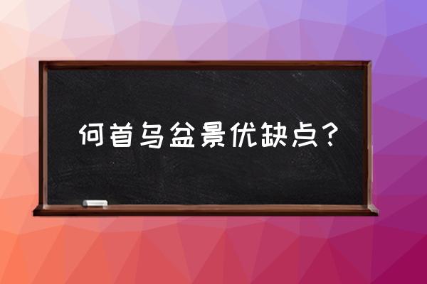 何首乌盆栽家养好吗 何首乌盆景优缺点？