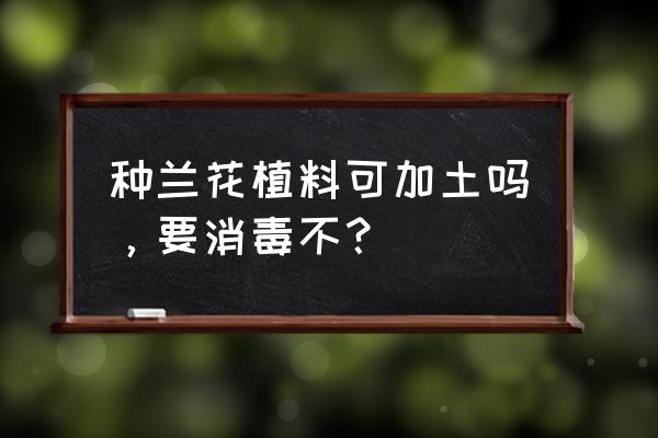 刺栗叶种兰花要消毒吗 种兰花植料可加土吗，要消毒不？