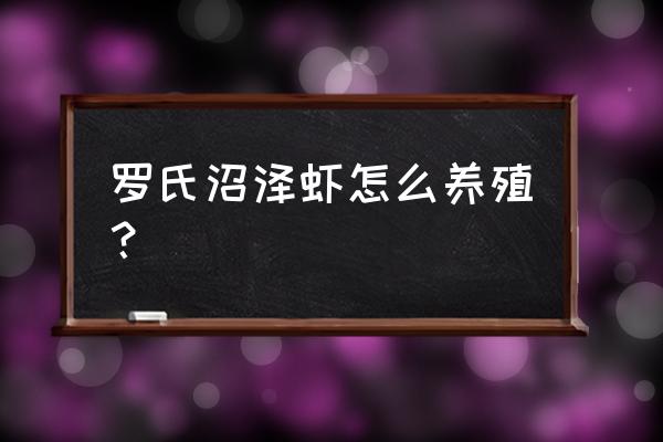 云南有养罗氏沼虾的吗 罗氏沼泽虾怎么养殖? 云南有养罗氏沼虾的吗 罗氏沼泽虾怎么养殖?