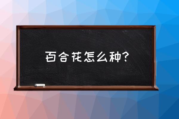 如何培育盆栽百合花 百合花怎么种？