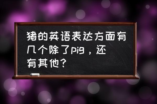 猪爱吃饲料英语怎么写 猪的英语表达方面有几个除了pig,还有其他? 猪爱吃饲料英语怎么写 猪的英语表达方面有几个除了pig,还有其他?