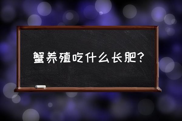 螃蟹饲料有多重要 蟹养殖吃什么长肥？