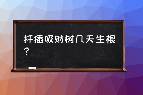 扦插果树一般几天长根 扦插吸财树几天生根? 扦插果树一般几天长根 扦插吸财树几天生根?