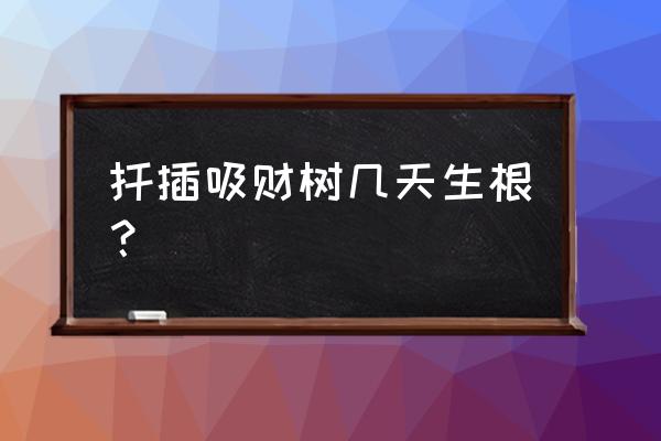 扦插果树一般几天长根 扦插吸财树几天生根？