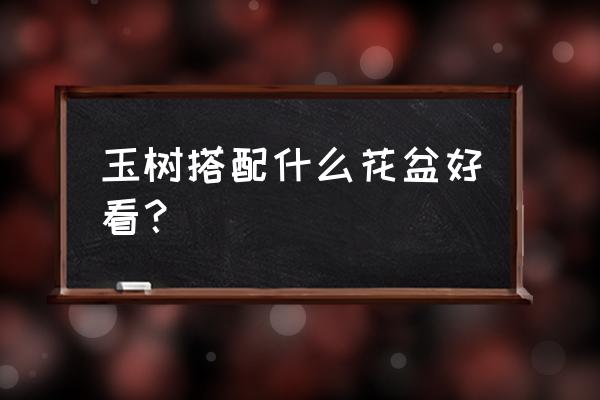 玉树配什么颜色的花盆会更漂亮 玉树搭配什么花盆好看？