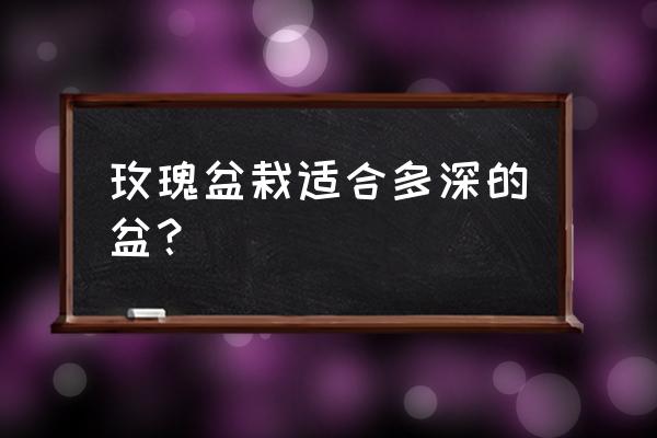 玫瑰花搭配什么样的花盆好看 玫瑰盆栽适合多深的盆? 玫瑰花搭配什么样的花盆好看 玫瑰盆栽适合多深的盆?