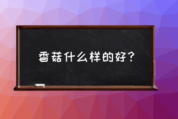 哪种香菇比较好 香菇什么样的好? 哪种香菇比较好 香菇什么样的好?