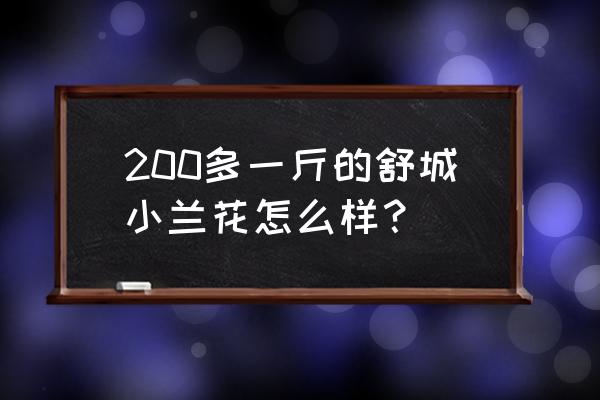 舒城小兰花在哪儿采购 200多一斤的舒城小兰花怎么样? 舒城小兰花在哪儿采购 200多一斤的舒城小兰花怎么样?